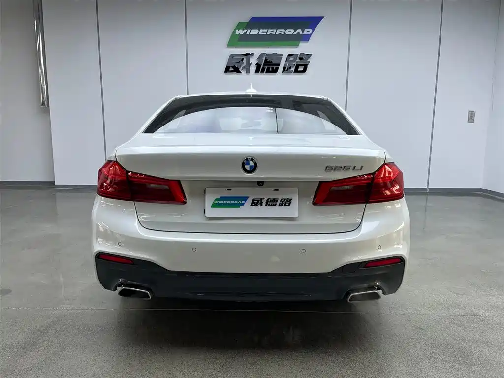 BMW 5 Series 2020 525Li M Sport Package фото 5