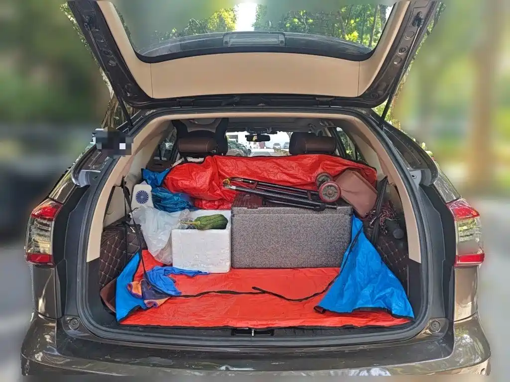 Photo 10 - BYD S7