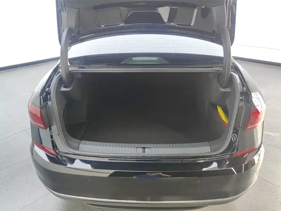 Volkswagen Passat 2025 Outstanding 330TSI Starlight Elite Edition фото 4