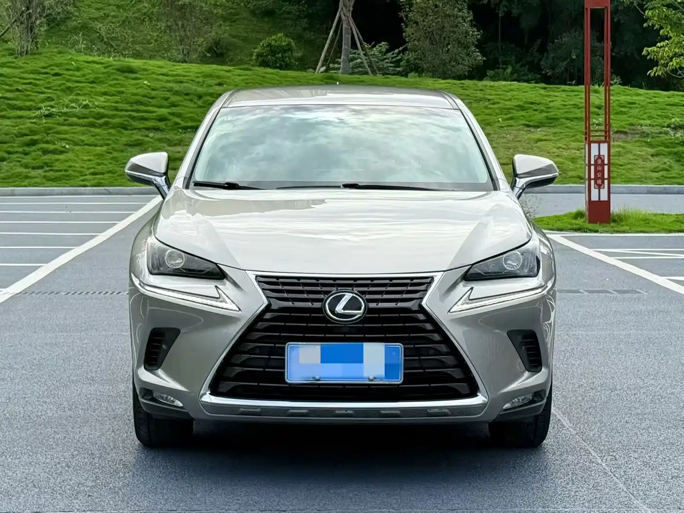 Lexus NX 2018 Model 300 FWD Fengxing Edition фото 2