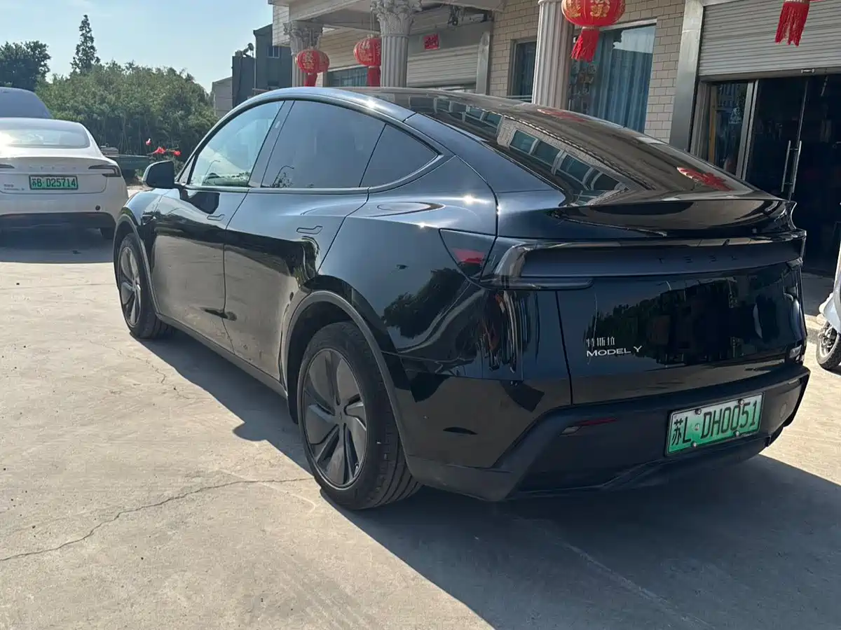 Tesla Model Y 2026 Rear-Wheel Drive фото 6