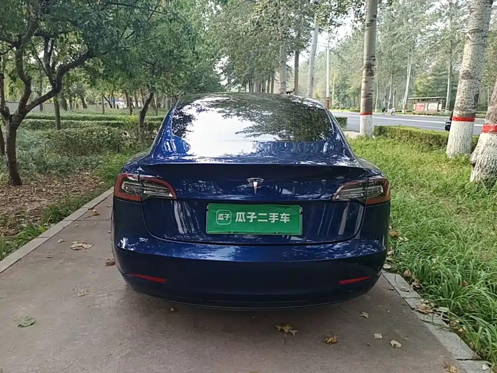 Tesla Model 3 (Import) 2020 2019 Standard Range RWD Upgraded Edition