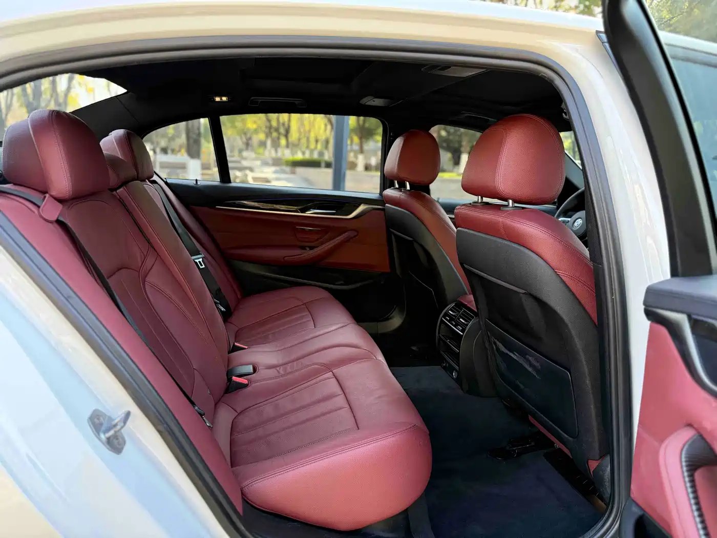 BMW 5 Series 2019 530Li Leading M Sport Package фото 11