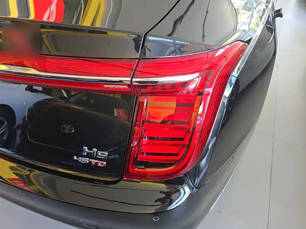Фото 8 - Hongqi H9