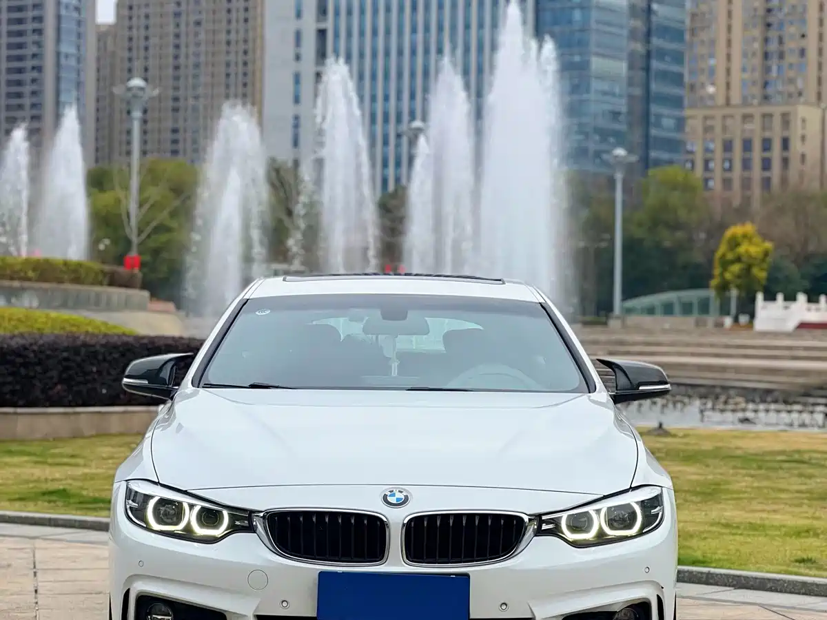 BMW 4 Series 2017 425i Gran Coupe Leading M Sport Package фото 2