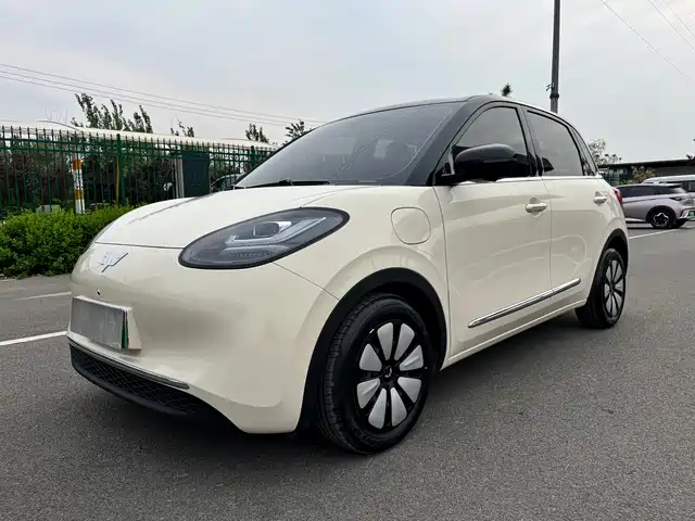 WULING WULING BINGGUO