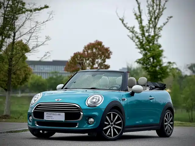 MINI 