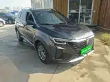 Фото 4 - Roewe RX5