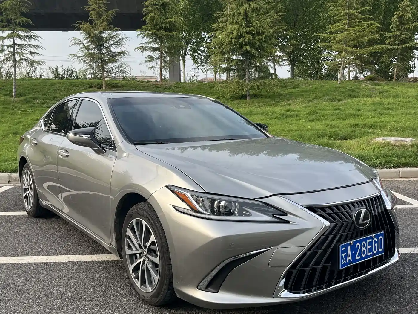 Lexus ES 2024 200 Premium Edition фото 3