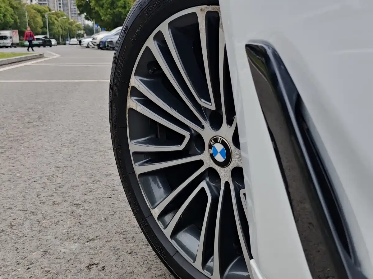 BMW 5 Series 2018 530Li Leading M Sport Package фото 11