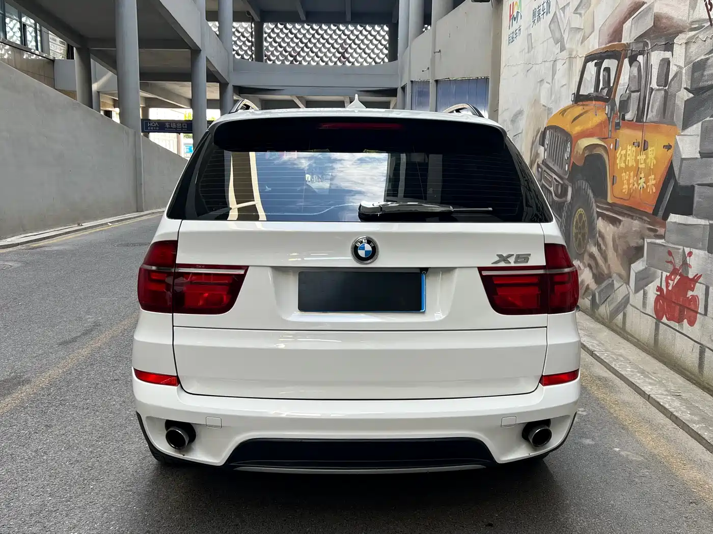 BMW X5 (Import) 2013 xDrive35i Leading фото 4
