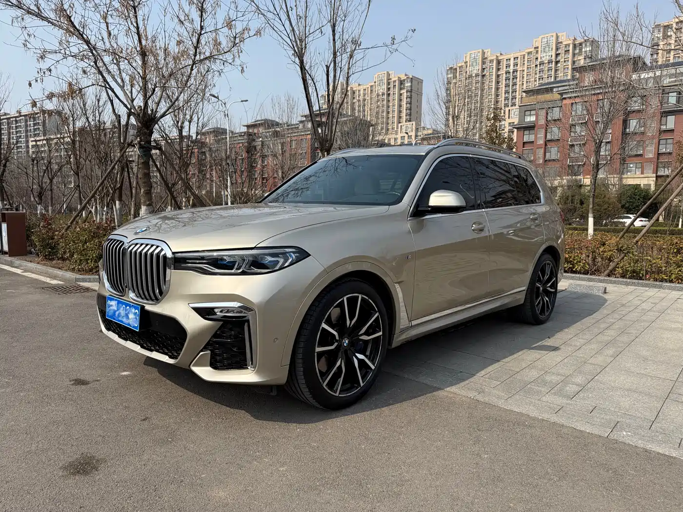 BMW X7 2019 xDrive40i Executive M Sport Package