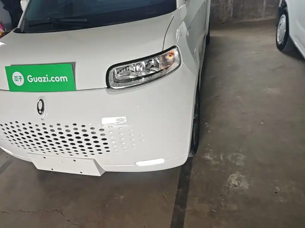 Ora White Cat 2021 2022 Upgraded 305km Luxury (NMC)
