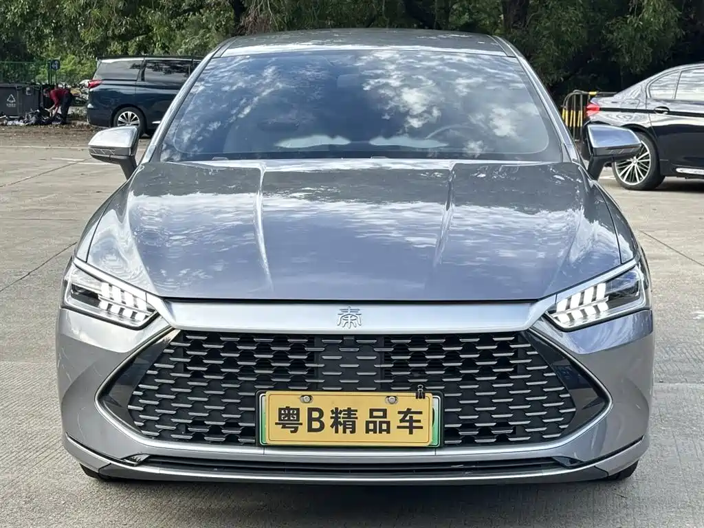 BYD Qin PLUS 2024 Glory Edition DM-i 55KM Leading фото 2