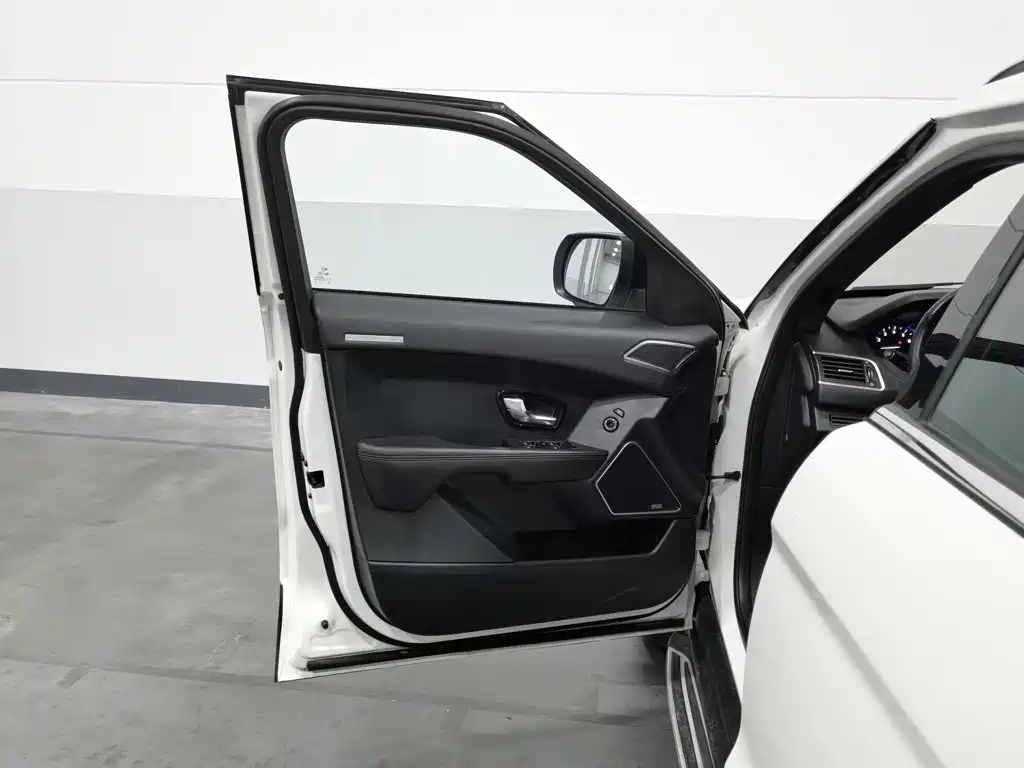 Фото 8 - Landwind X7