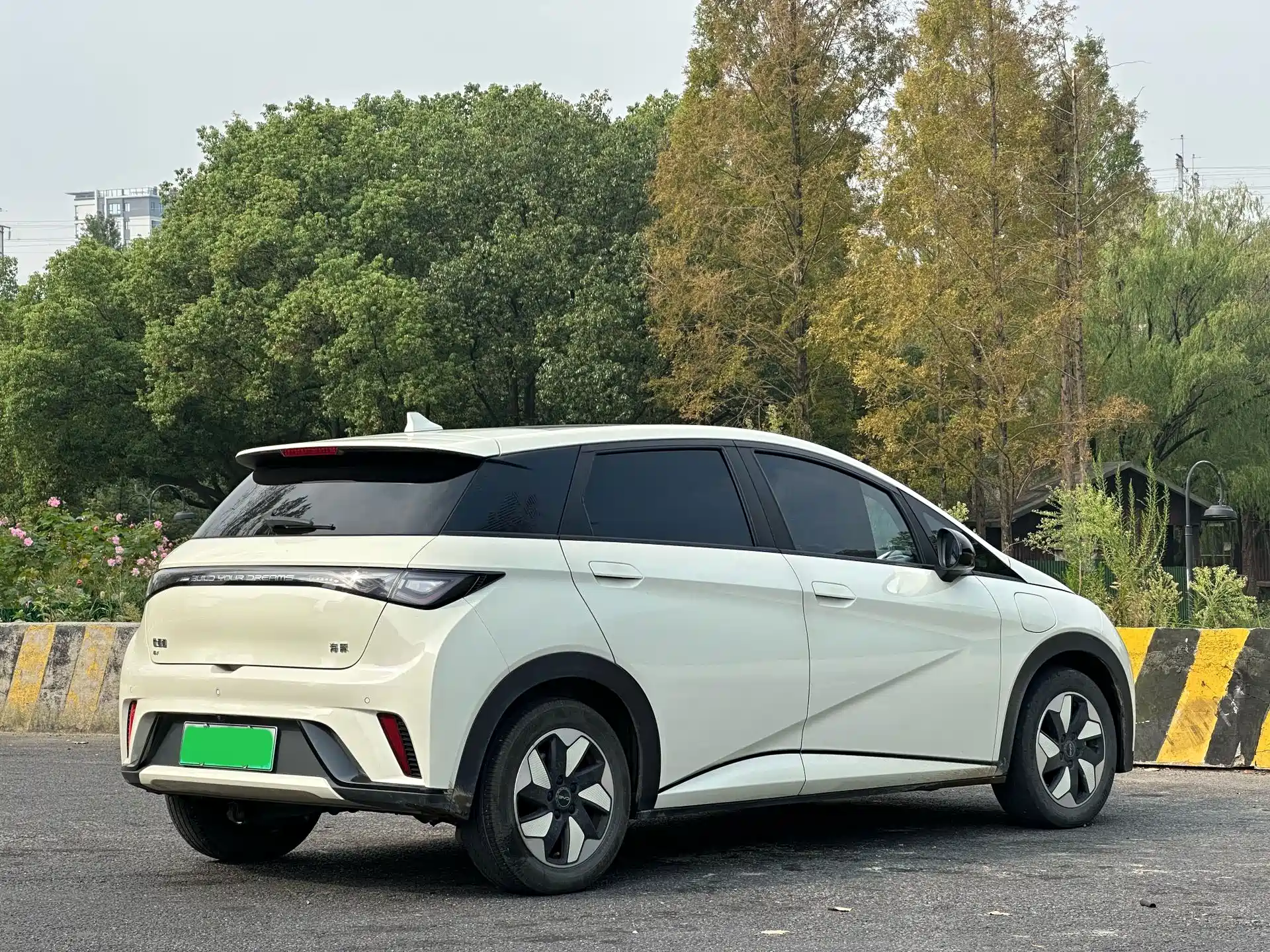 Фото 7 - BYD Dolphin