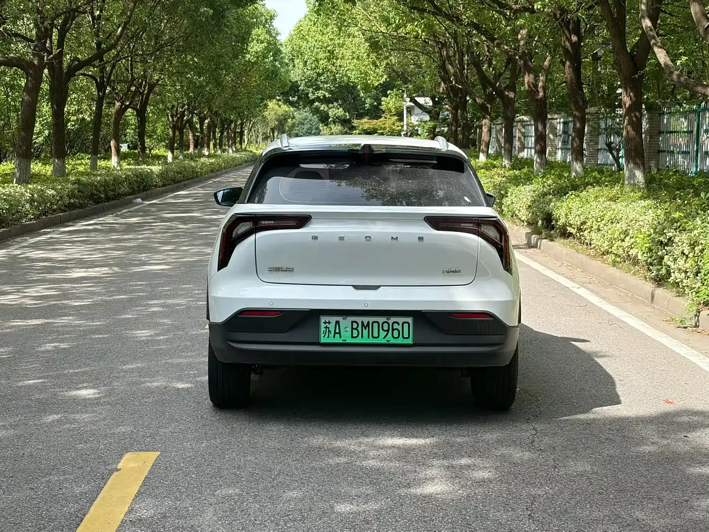 Geely Geometry E Firefly 2024 2024 401km Starlight