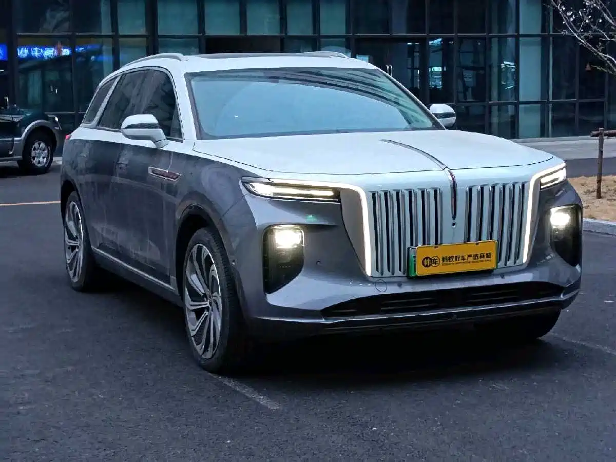 Hongqi E-HS9 2022 660km Qi Ling Edition (4-seater) фото 3