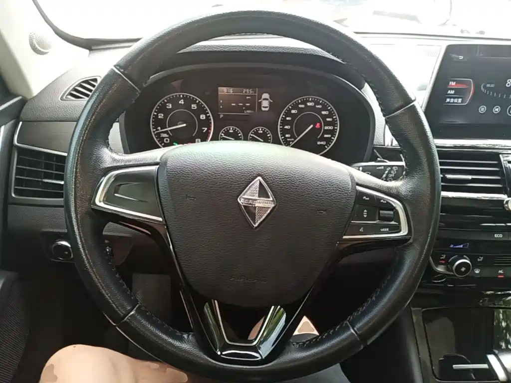 Borgward BX5 2019 2017 Model 20TGDI Automatic 2WD Vanguard Type