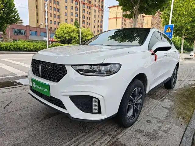 WEY VV5 2020