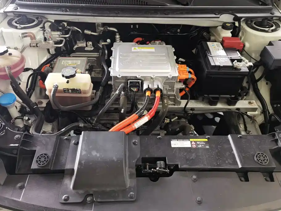 BYD e2 2021 2021 Luxury Edition