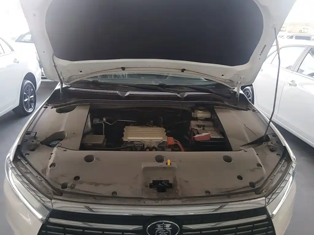 Фото 20 - BYD Qin New Energy
