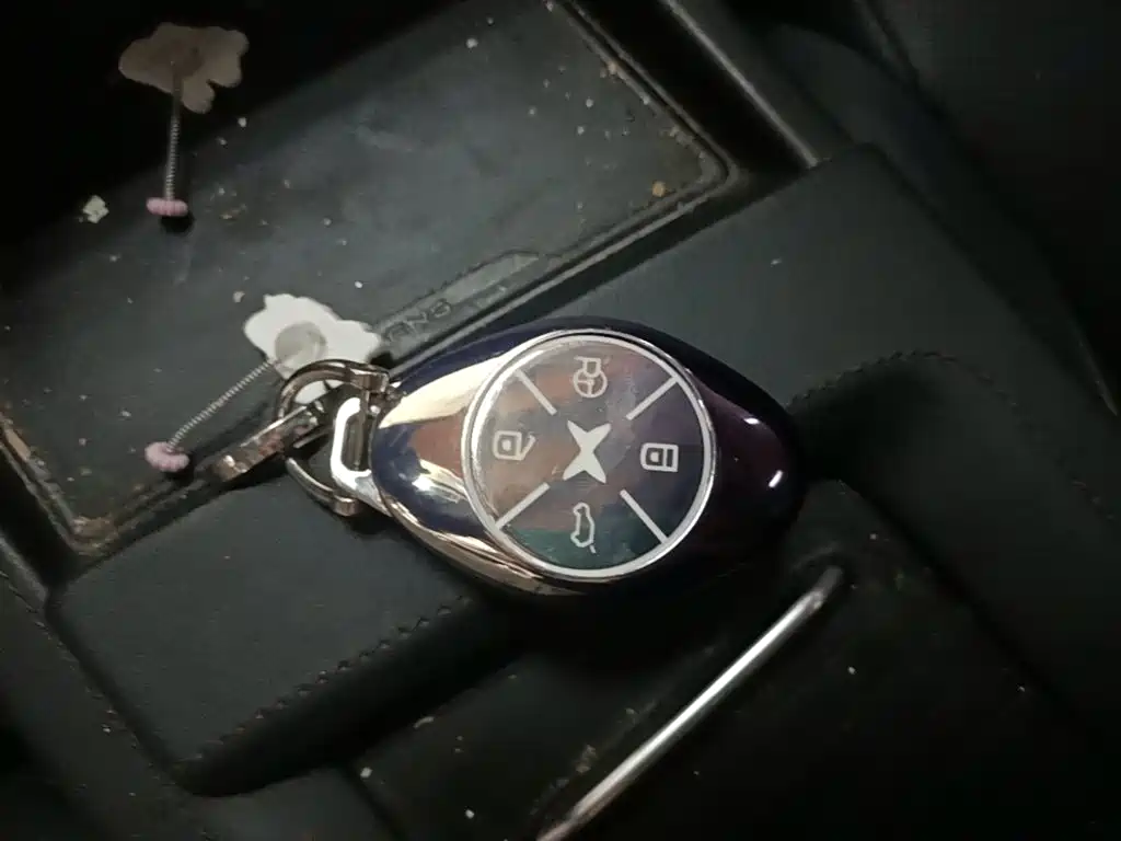 XPeng G3 2021 2020 520i Smart Edition