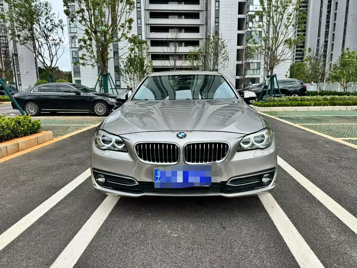 BMW 5 Series 2014 525Li Luxury Design Package фото 2