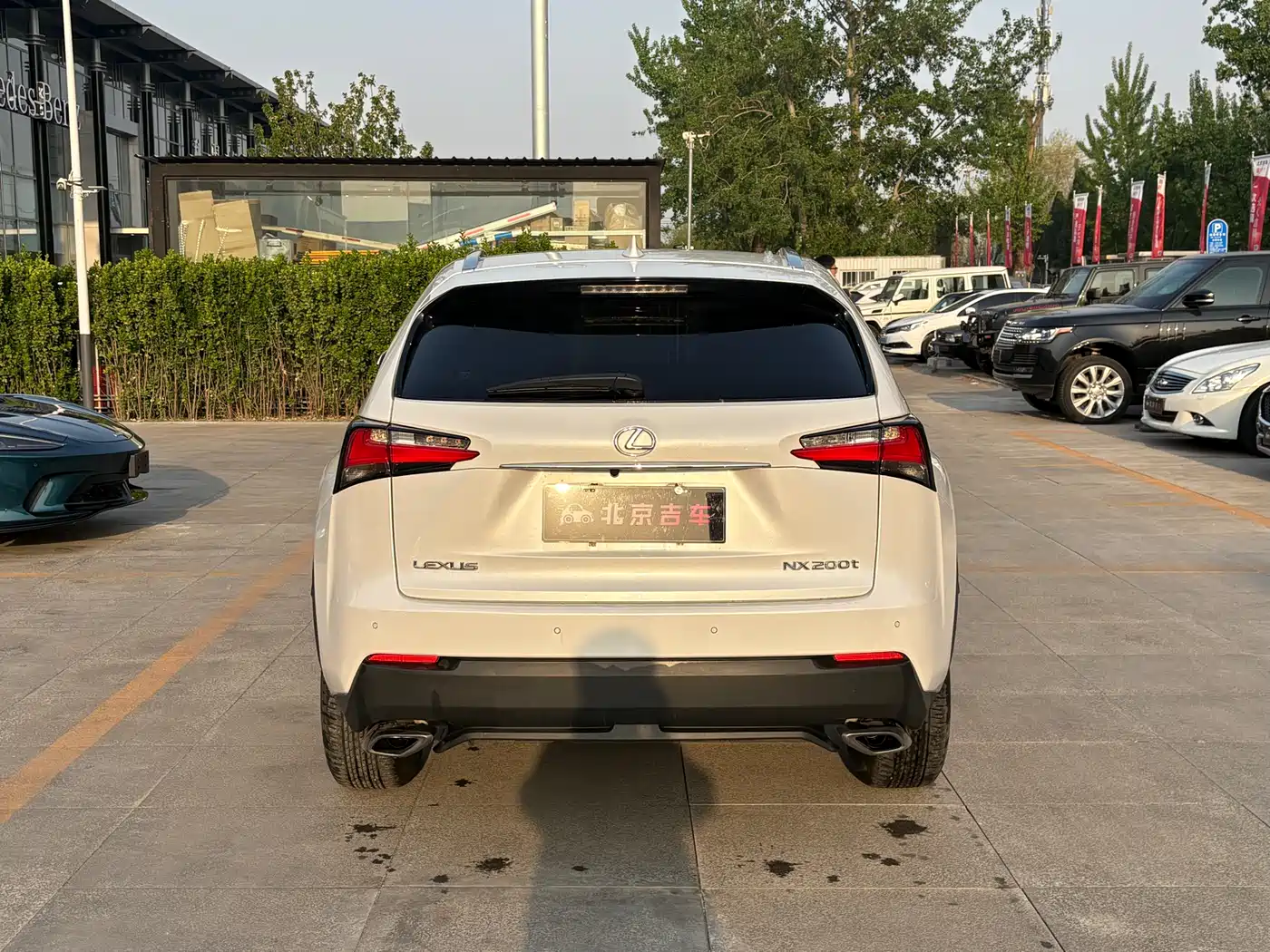 LEXUS NX