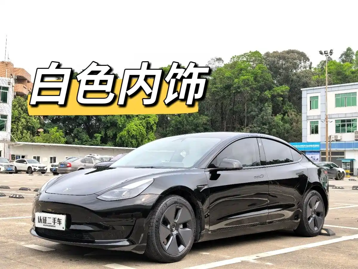 Tesla Model 3 2021
