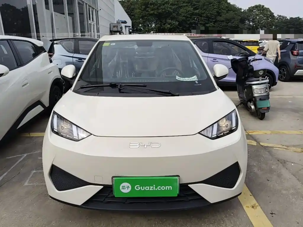 BYD Seagull 2026 2025 Smart Drive Edition 305km Vitality Version