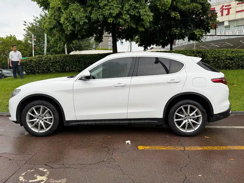 Alfa Romeo Stelvio 2019 2017 2.0T 200HP Luxury Edition
