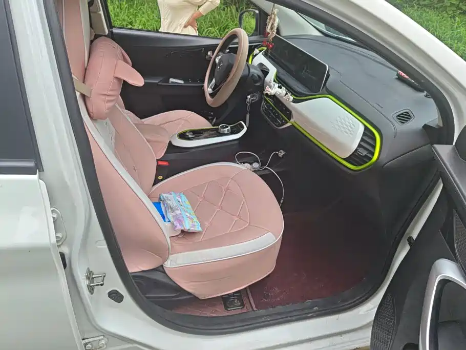 Changan Benben E-Star 2021 2022 Appreciation Edition Colorful LFP