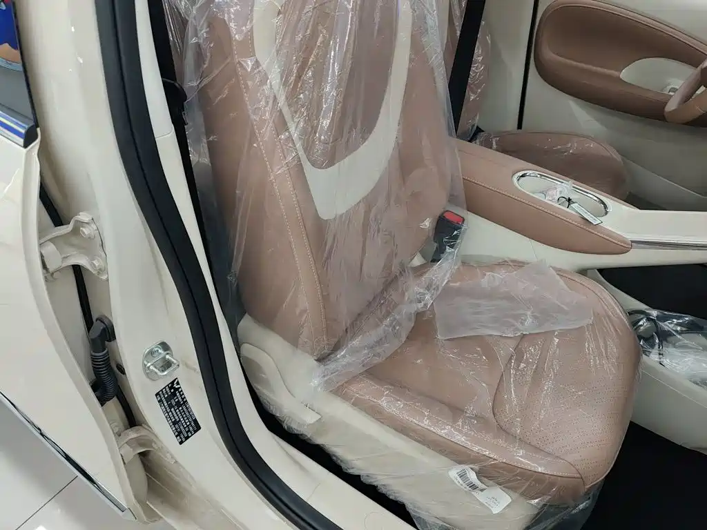 Wuling Motors Wuling Bingo 2026 2025 Model 333km Joy Edition