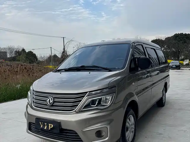 dongfeng lingzhi