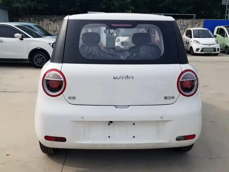 Changan Qiyuan Changan Lumin 2026 2026 Model 205km Treasure Edition