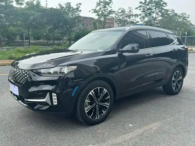  WEY Wey VV6 2021 2.0T 2WD Smart Enjoyment+