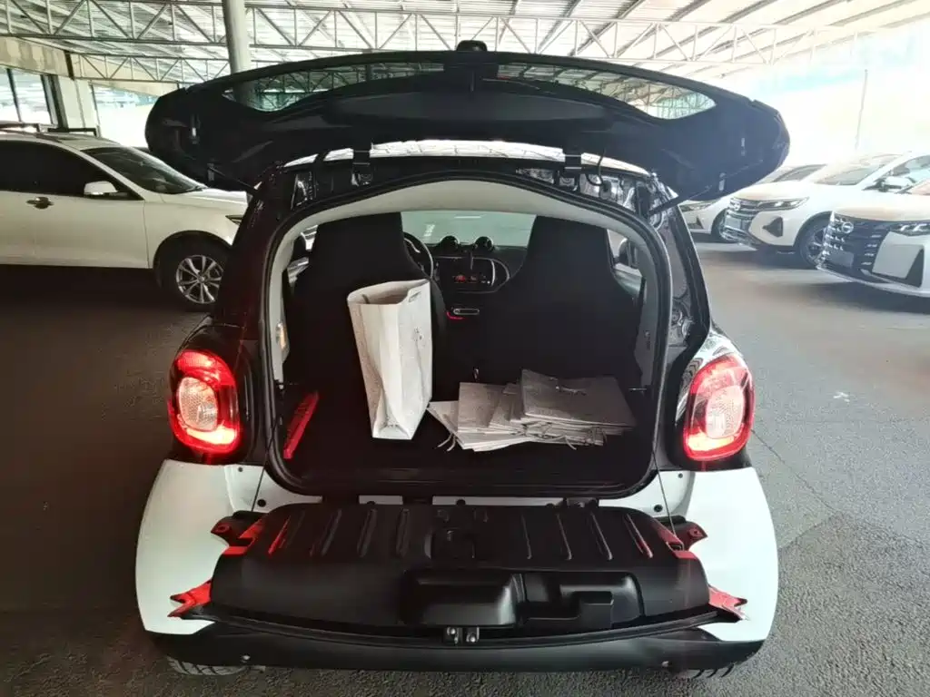 smart fortwo 2019 2018 1.0L 52kW Hardtop Passion Edition China V