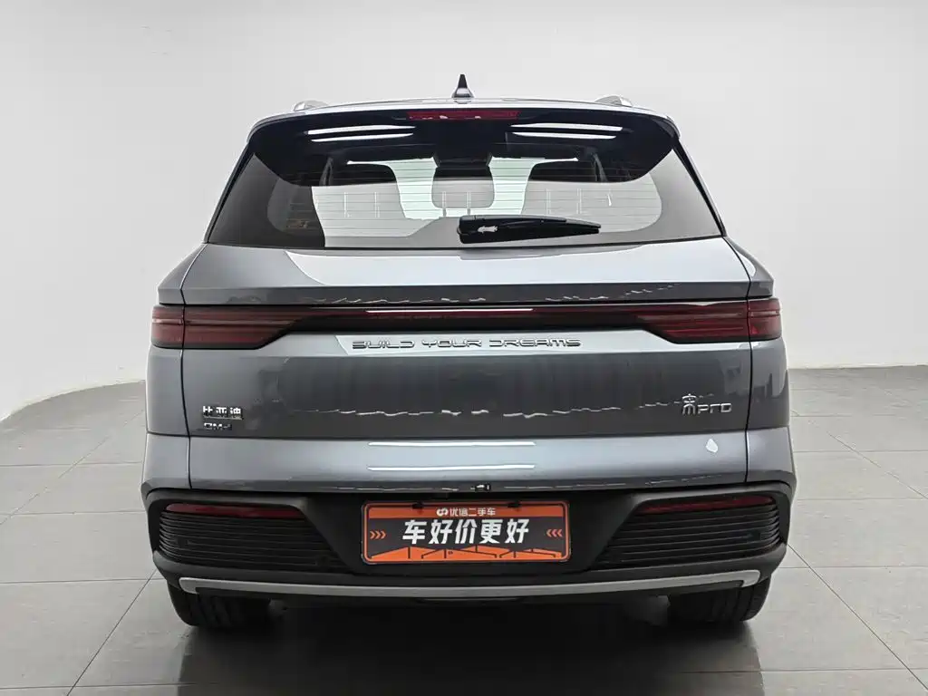 BYD Song Pro New Energy 2025 2024 Glory Edition DM-i 110KM Excellence
