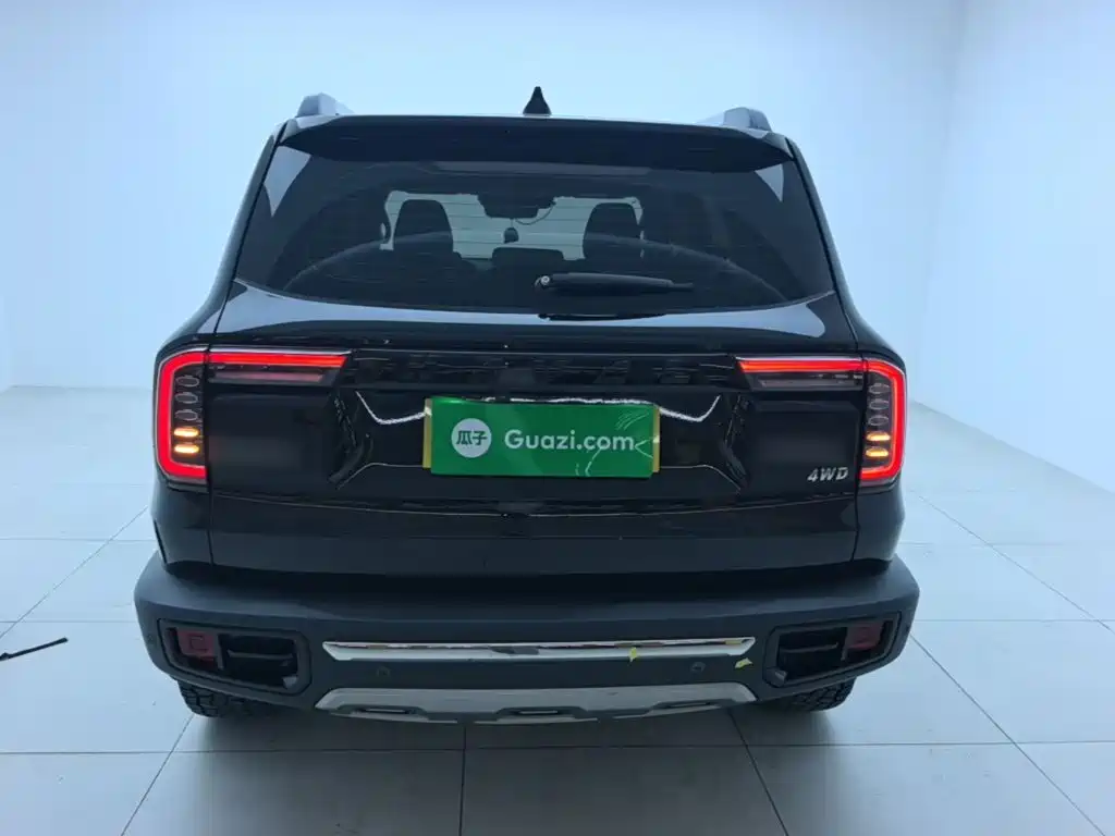 Фото 6 - Haval Dargo