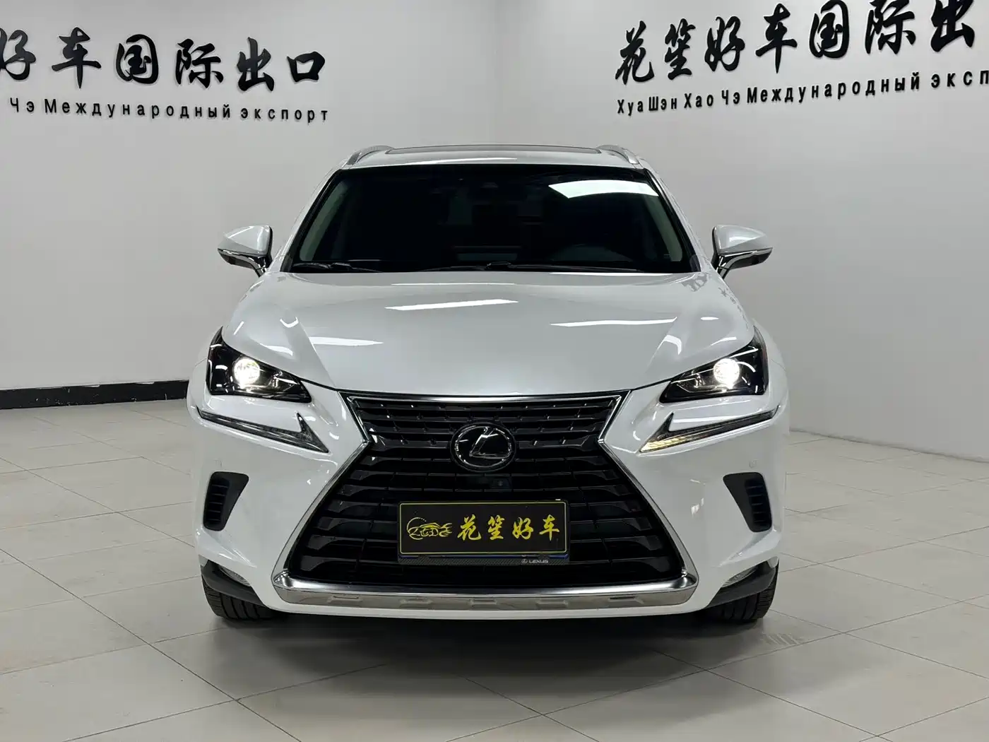 LEXUS NX