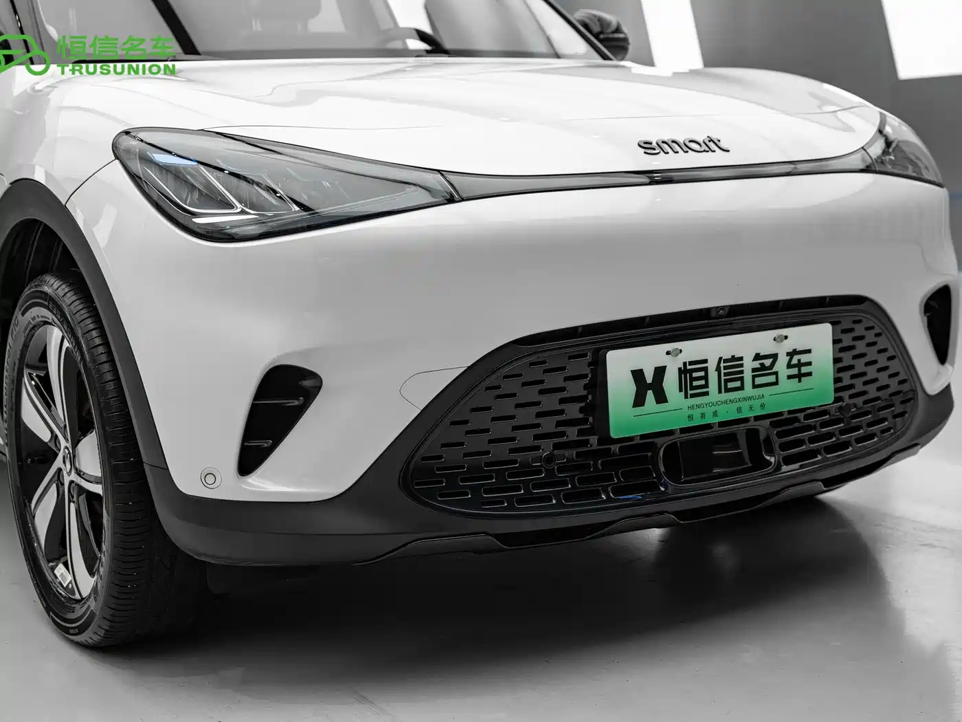 smart Elf #1 2025 2024 Agile Standard Edition