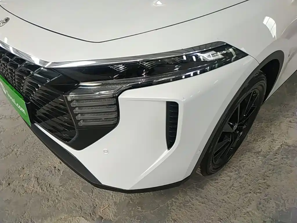 Venucia Big V 2022 2021 260T King Edition