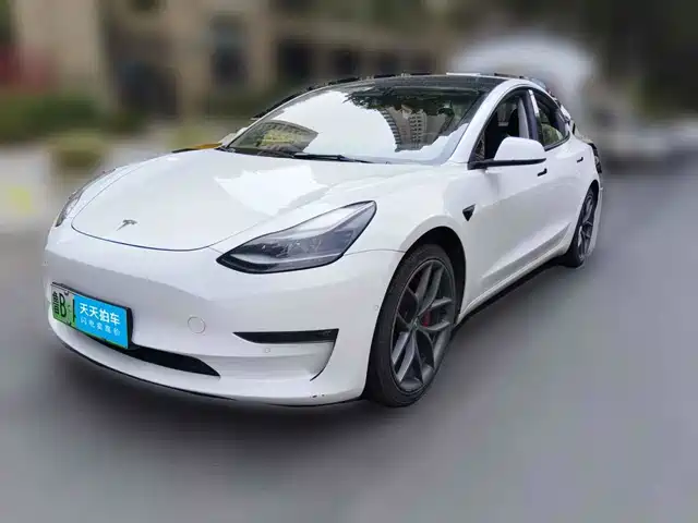 Tesla Model 3 2022 Performance High-Performance AWD — фото 1