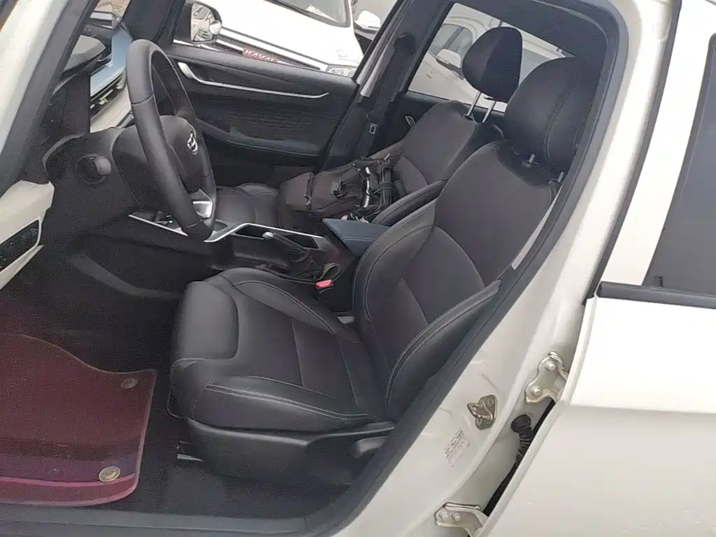 Geely Geometry EX3 Kung Fu Bull 2022 2021 Strong Bull