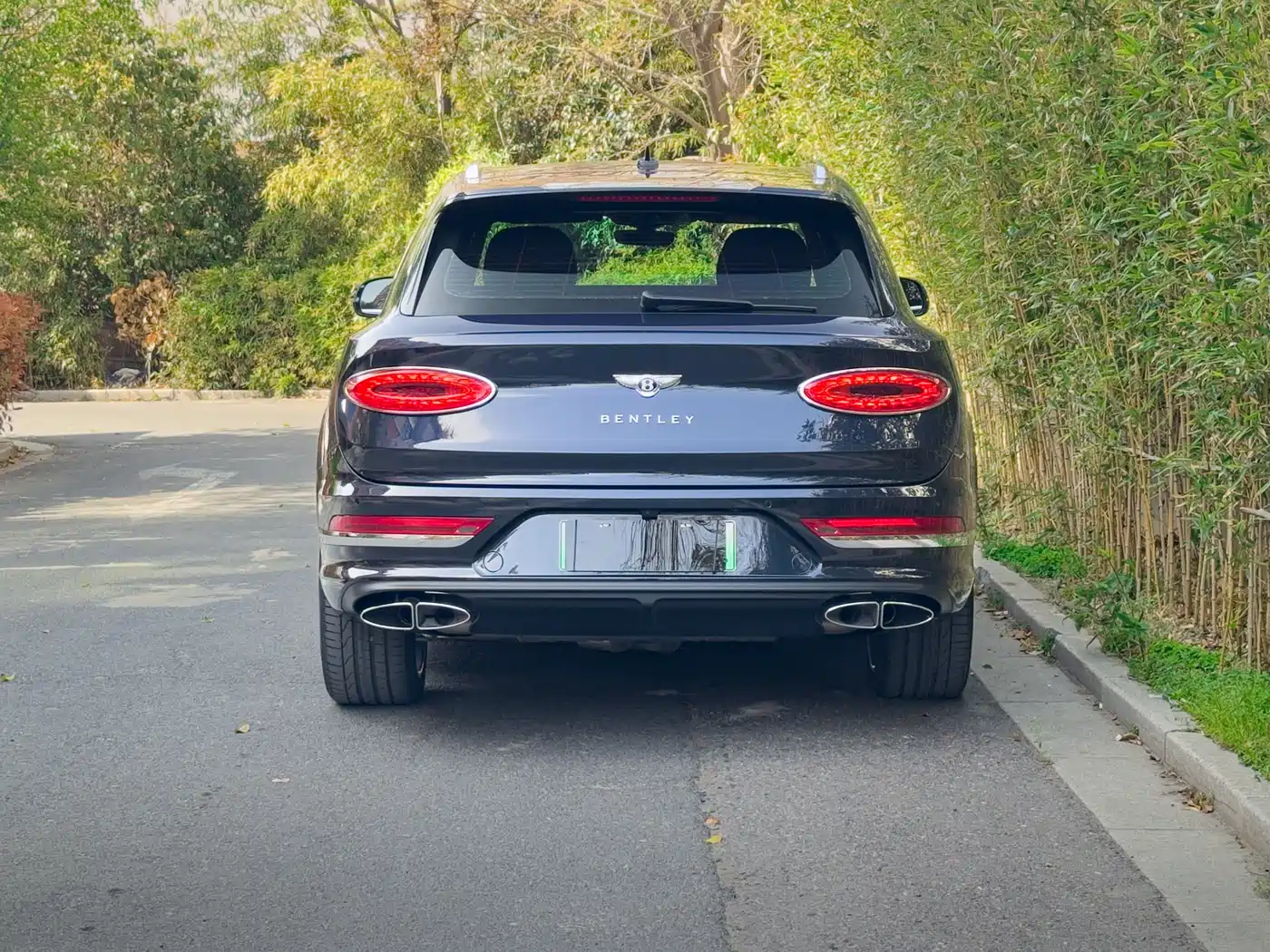 BENTLEY TIMYUE PLUG IN HYBRID