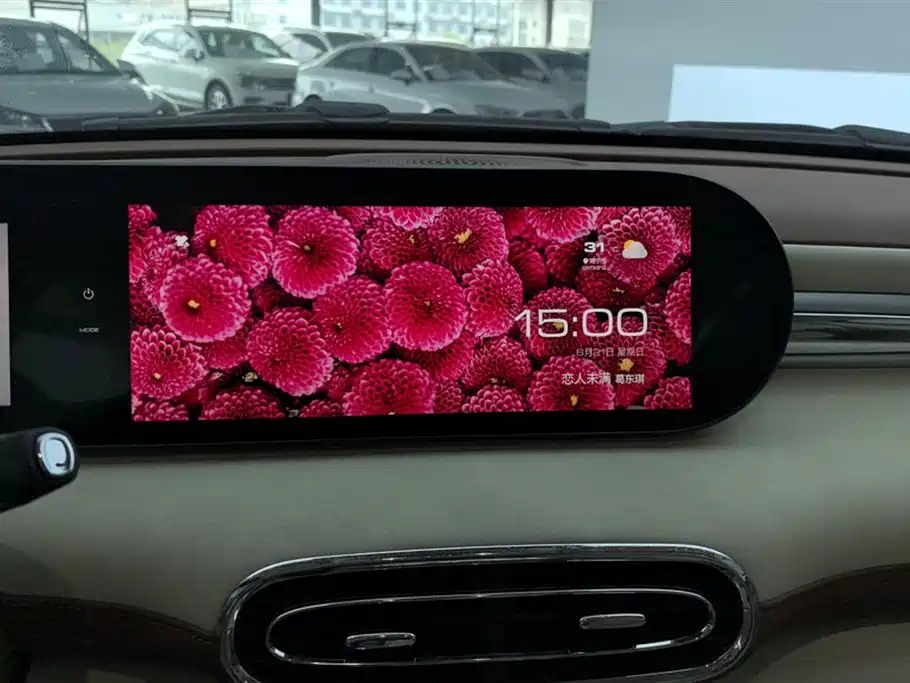Ora Ballet Cat 2024 2023 401km Premium Model