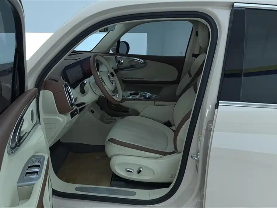 Ora Ballet Cat 2024 2023 401km Premium Model