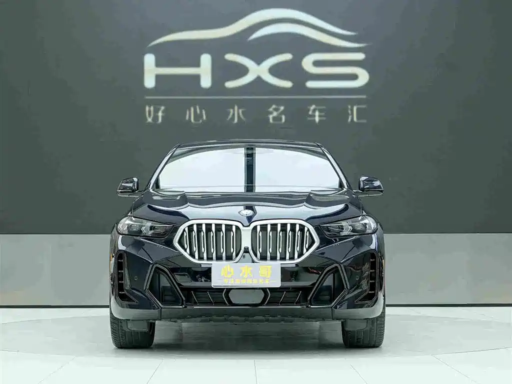 BMW X6 2025 2023 xDrive30i M Sport Package