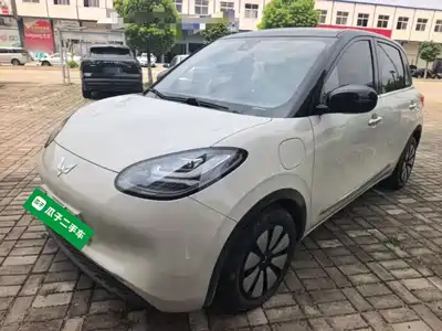 Wuling Bingo